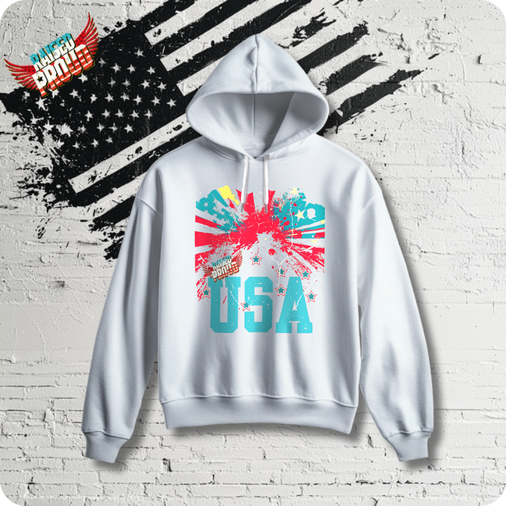 USA Lightweight Hooded Sweatshirt #1